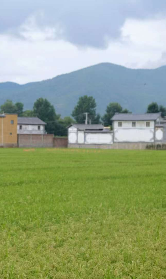 宝，你得会撩，他才会爱
