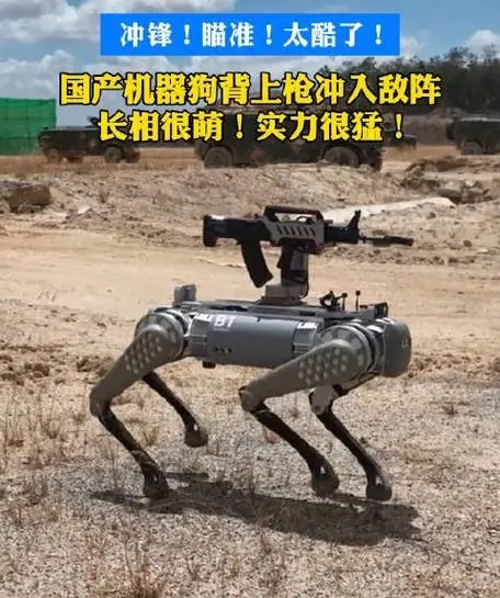中国军工到底有多牛？

军工要保密，要低调，咱就只说民间吧，在中国没有政府扶持，