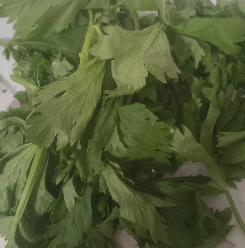 今天晚上买了一把芹菜。这芹菜叶摘下来了，看着碧绿碧绿的，很新鲜，很好，芹菜叶子，