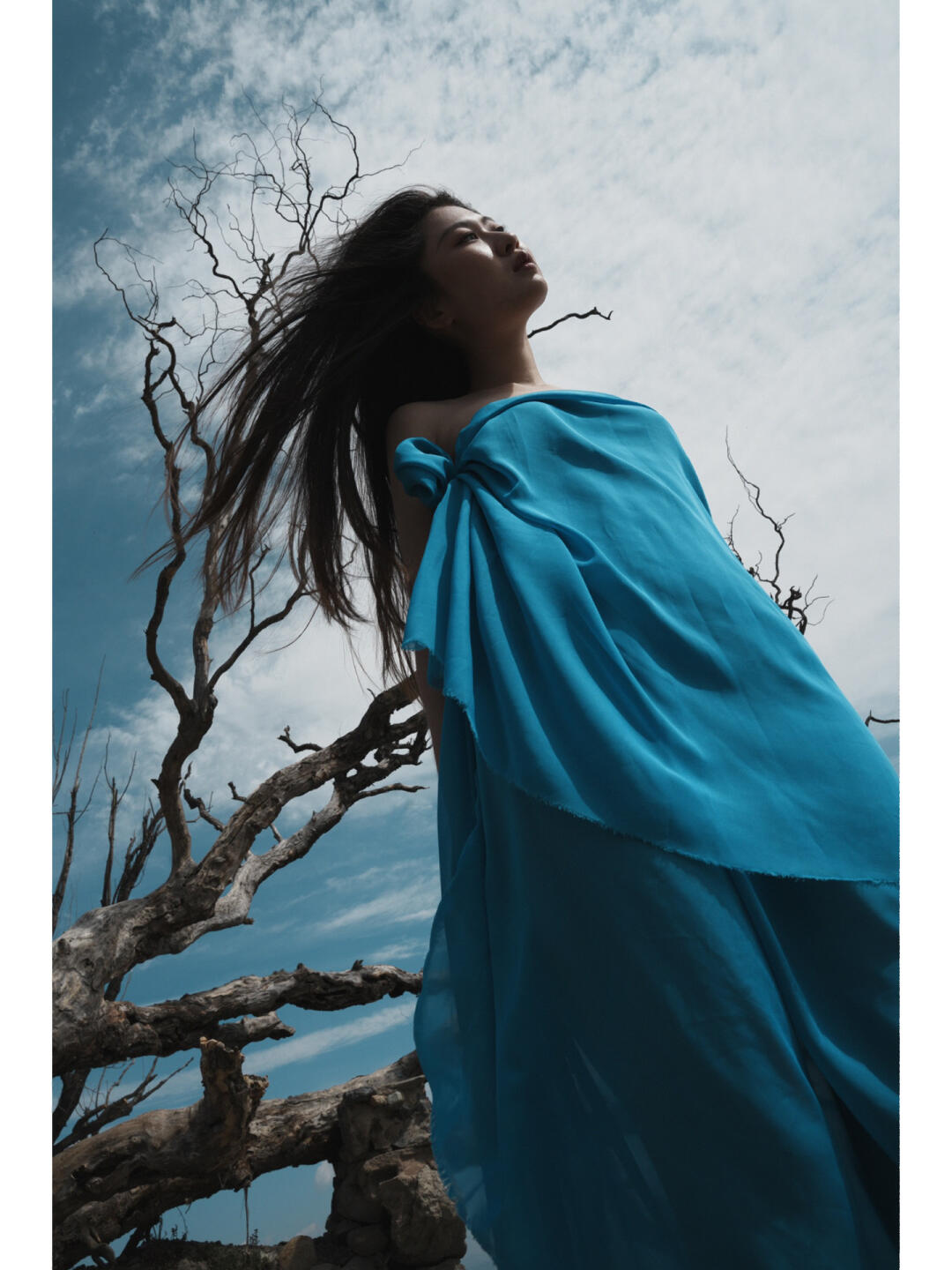 在大地上肆意生长 