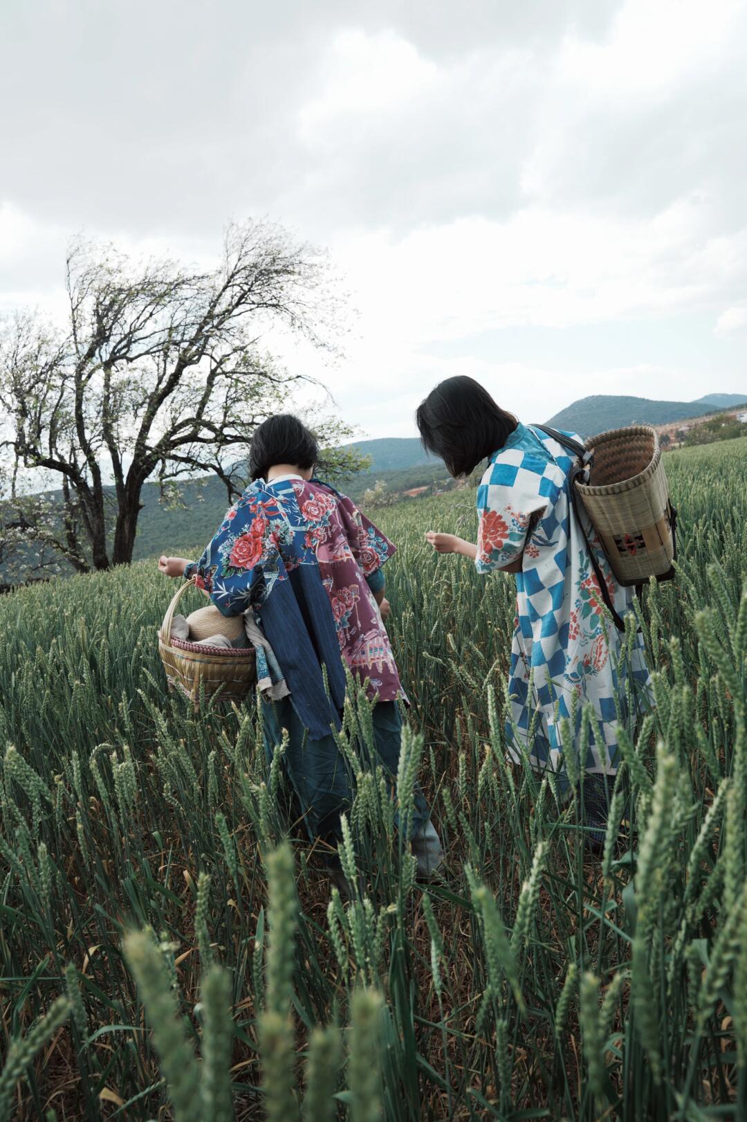春日里的高地｜奇峰梨花村