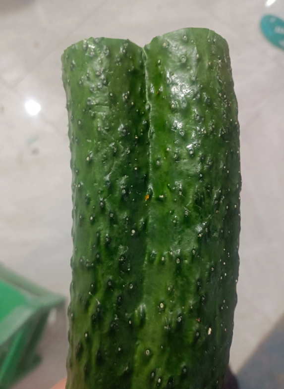 双胞胎黄瓜，头一次见！！