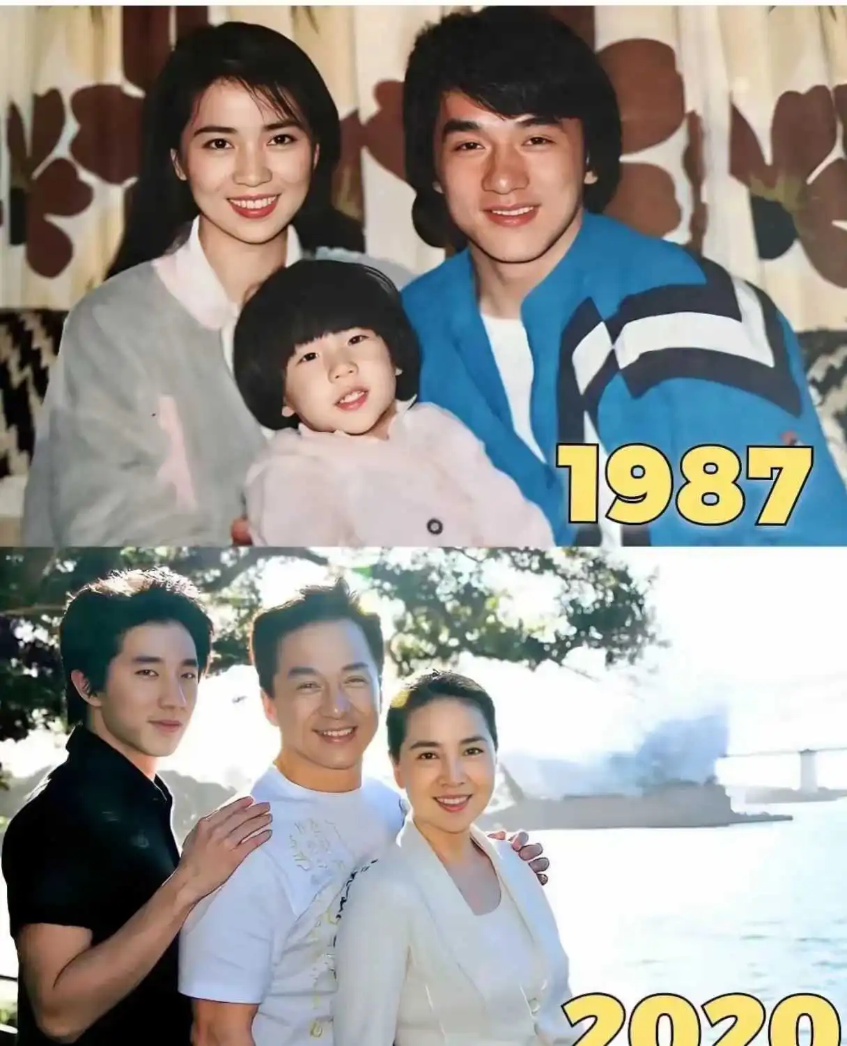 林凤娇那么漂亮，为啥成龙就是不爱她呢？
