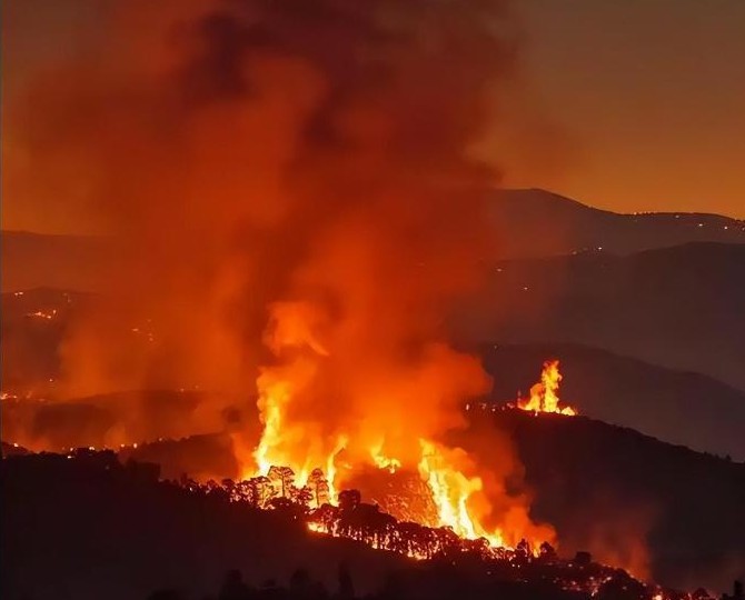 中国人用竹筷不用钢筷

                            