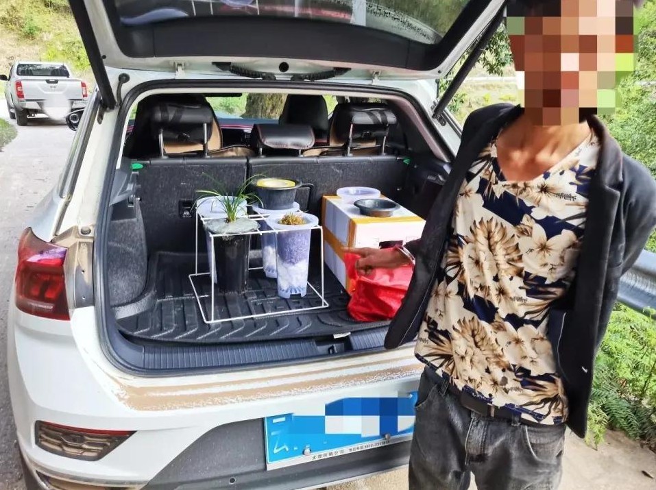 在四川，警方抓获了一名非法销售野生兰草的男子，这揭开了一个涉及多个地区的非法买卖