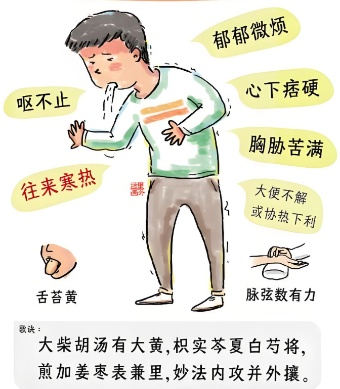 大柴胡汤临床辨证