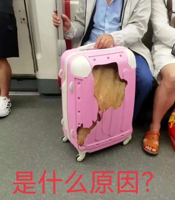 是什么强大的意志力，让他不舍得丢弃这箱子呢？[捂脸][捂脸][捂脸]