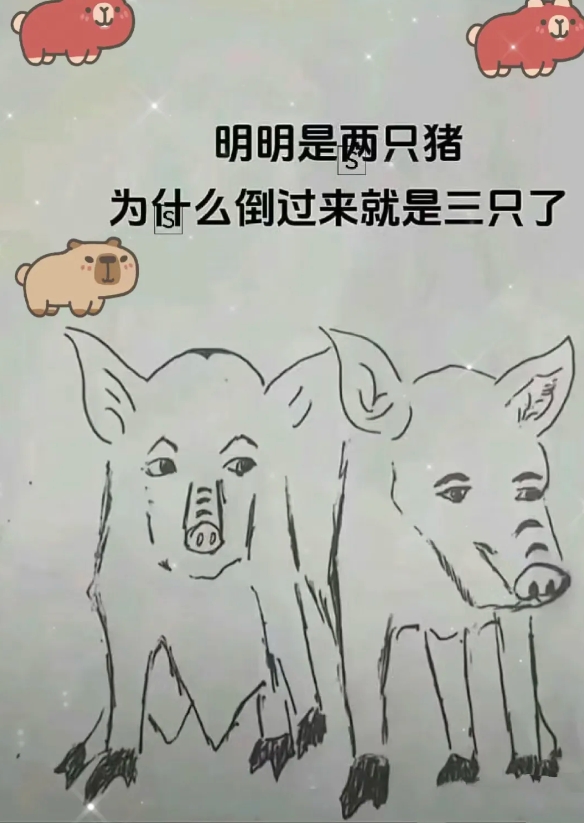 明明是两只猪，为什么倒过来看就三只了