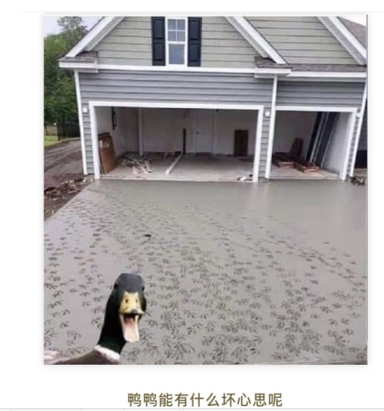 能有什么坏心思呢