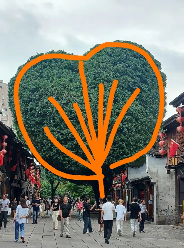 这些天，福州三坊七巷的网红打卡点，爱心树的悲催故事，大概全国人尽皆知了吧。
修心