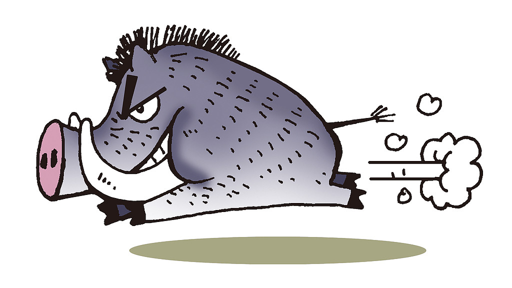 野猪闯入饭馆引发“人猪大战”：惊险与欢乐并存的奇遇