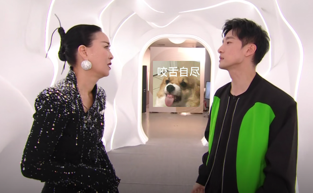 央媒终于对“哑巴歌手”出手了，王力宏的话应验了（哑巴歌唱）-第9张图片-九妖电影