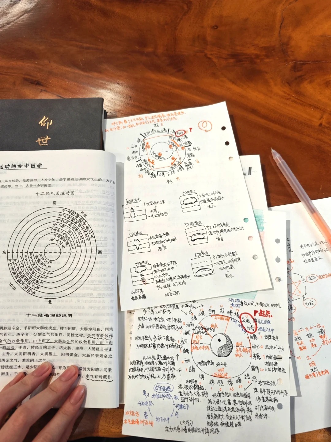 隔壁的以为我在学天书…
要不然说为什么学中医的天文地理科学道理全都要精通呢，赫赫