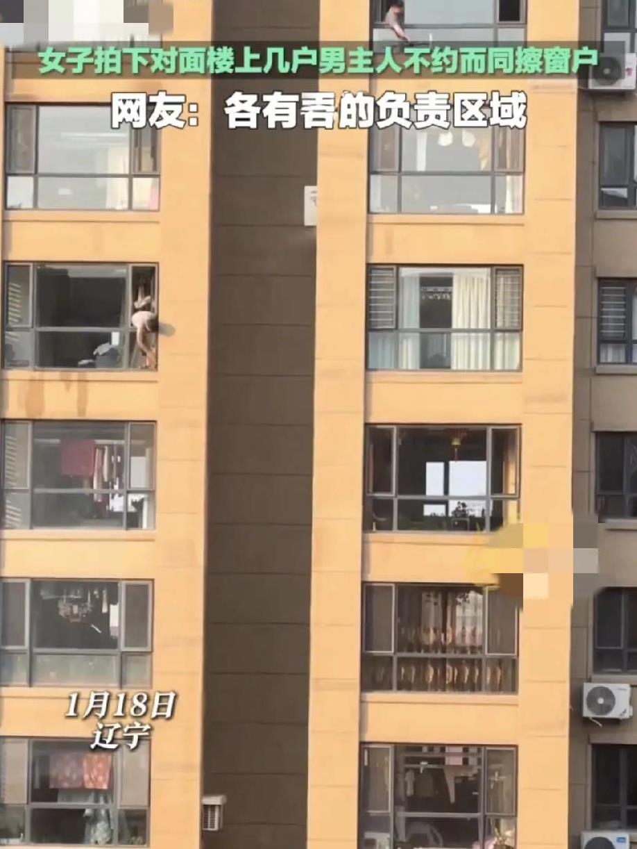 春节将至，辽宁一女子晒出，对面楼的一群大老爷们，在各自家里打扫卫生擦玻璃的一幕，