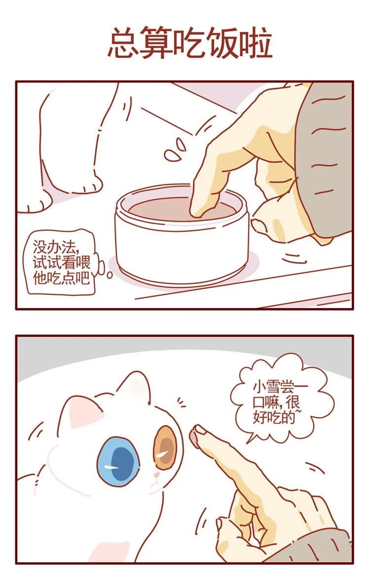 又到周五啦～
这周大家都辛苦了，休息一会儿吸点猫吧～