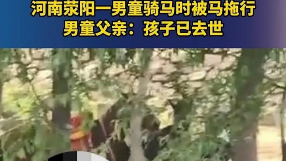 突发！河南一景区8岁男孩被马疯狂拖行，视频曝光，男孩不幸身亡