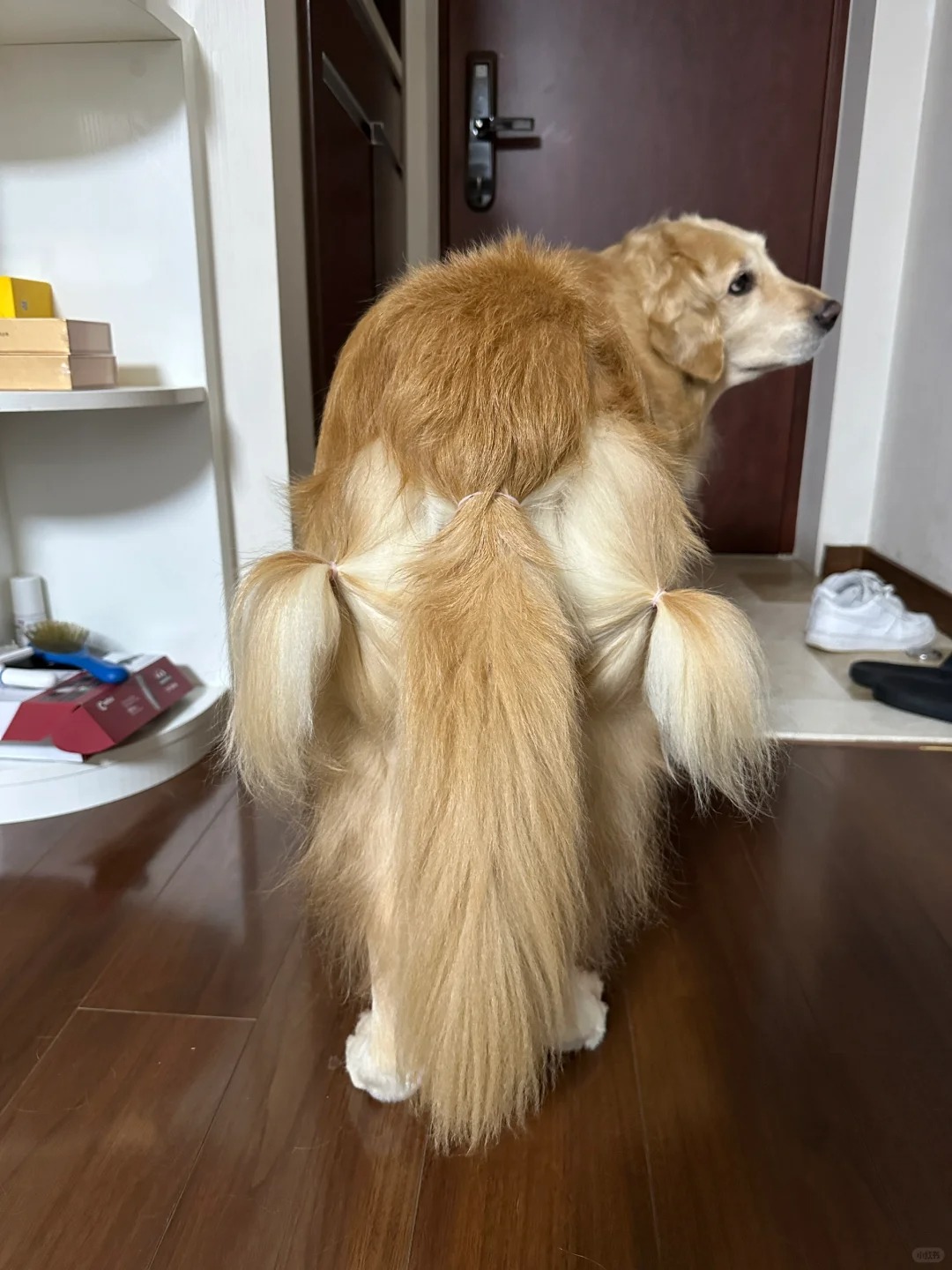 避💩操作！
女孩子梳两个啾啾不过分吧