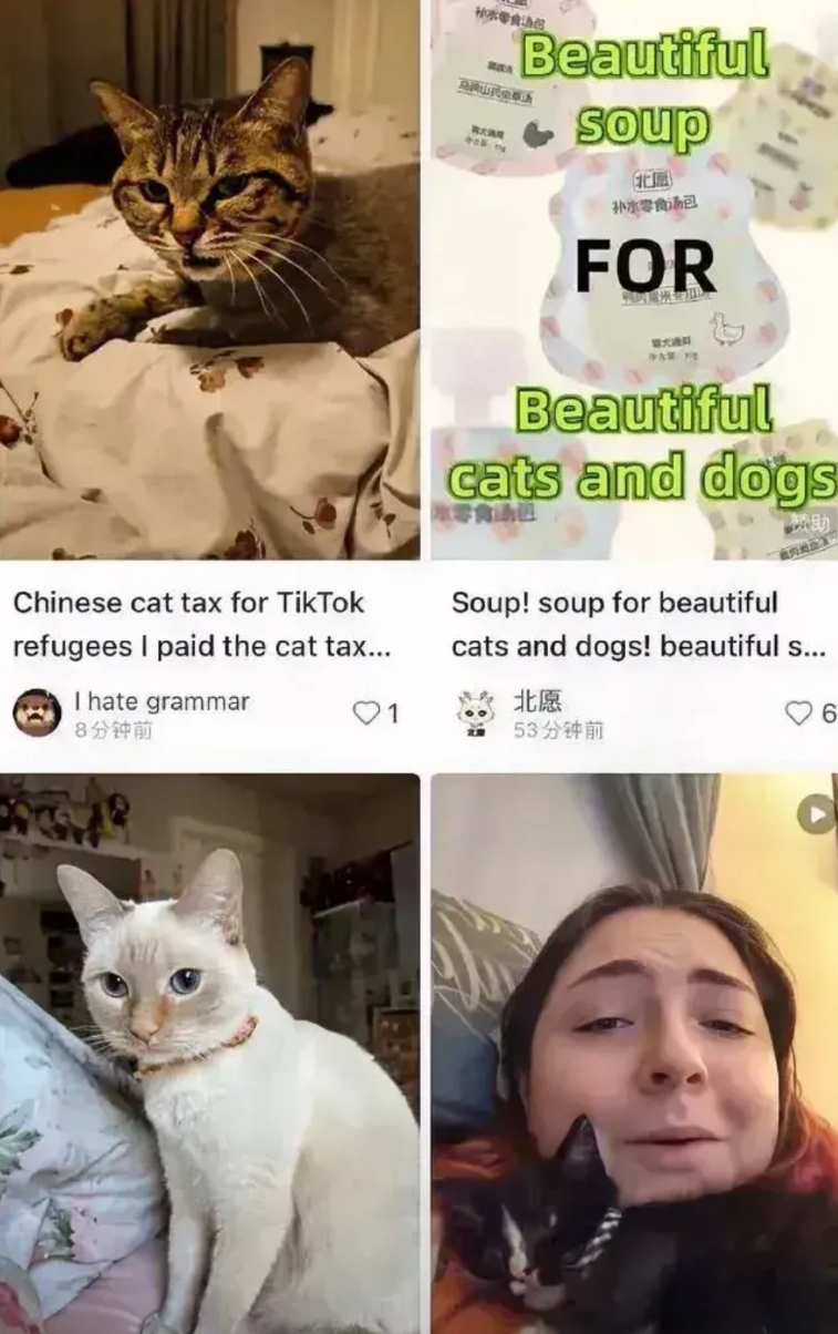 我真是服了这个老6了，以一人之力，忽悠了几千万个老外。
由于抖音海外版准备于1月