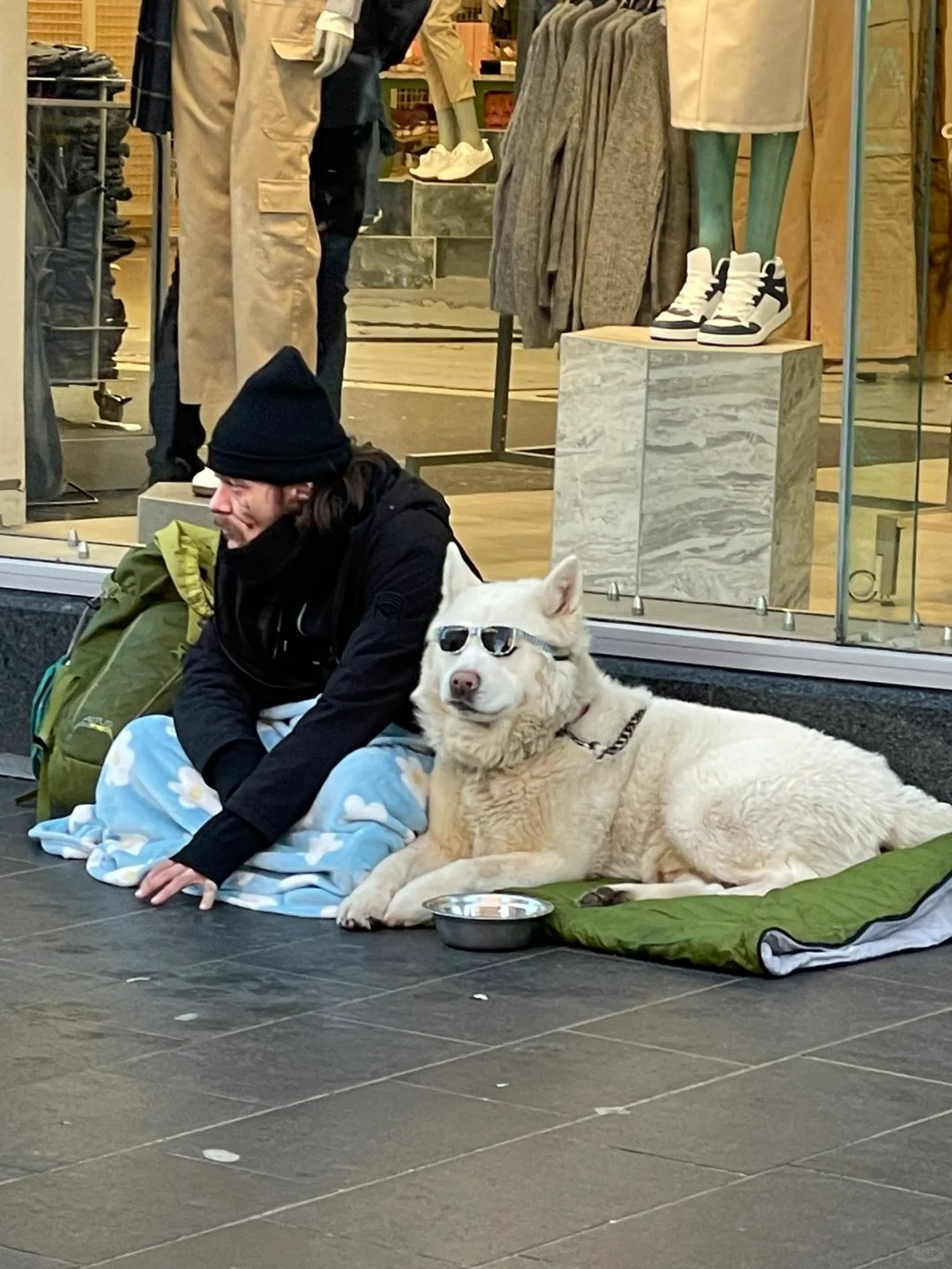 为什么🇬🇧很多homeless都有狗狗
一直有些疑问，homeless自己都