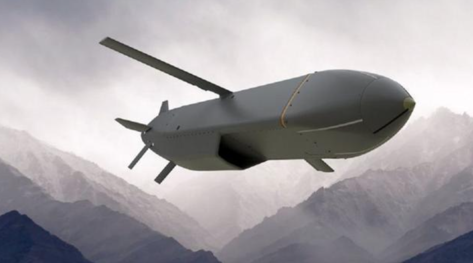 马克龙政府宣布，将给新一波Scalp巡航导弹，大概10枚这样，另外给西北风防空导
