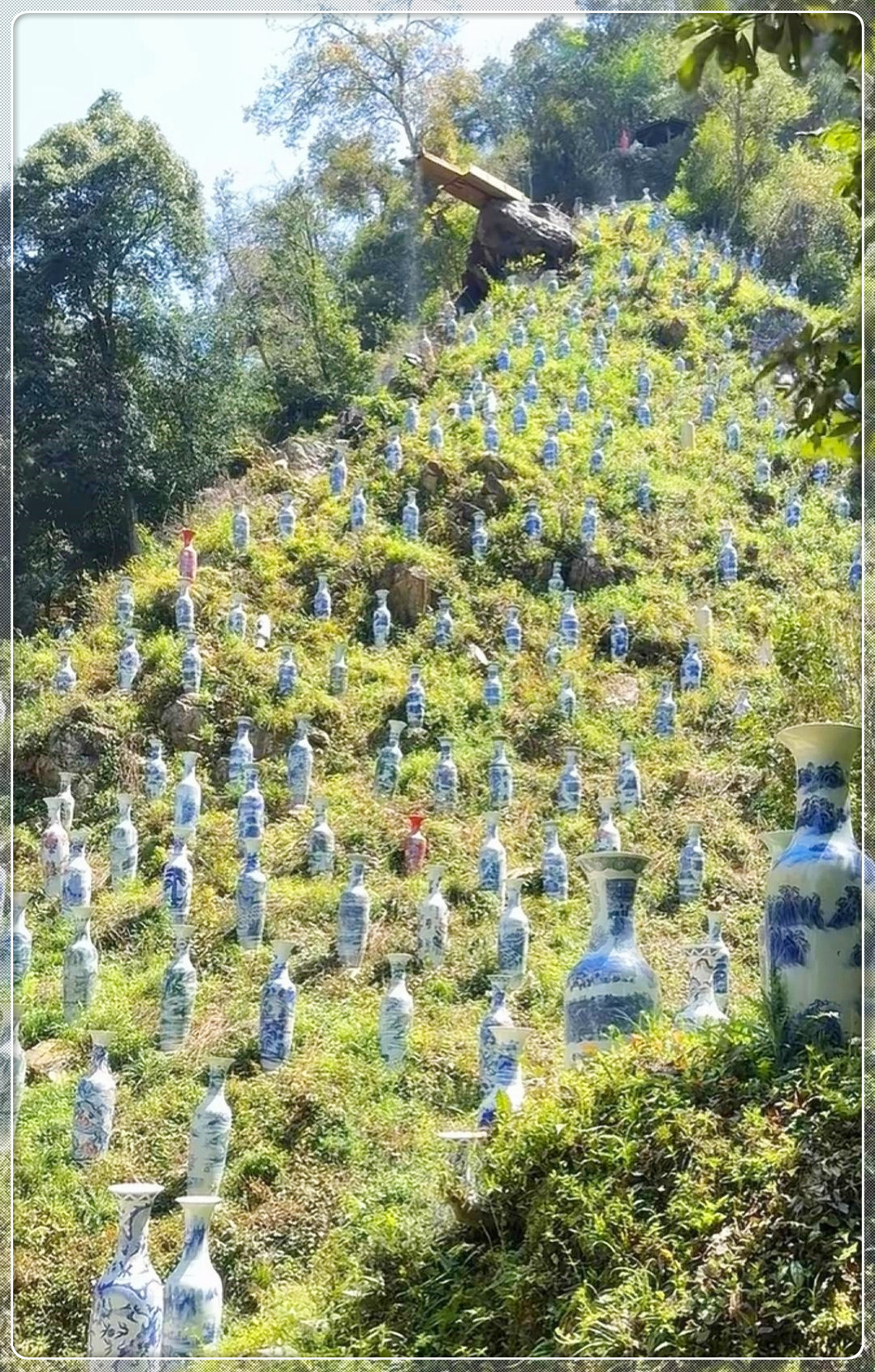 山上发现多个花瓶，用途不明，可否带回家？
