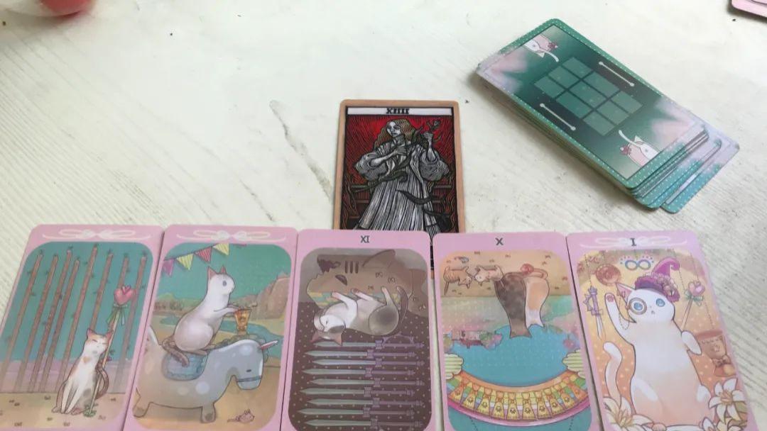 宠物想对你说的话？