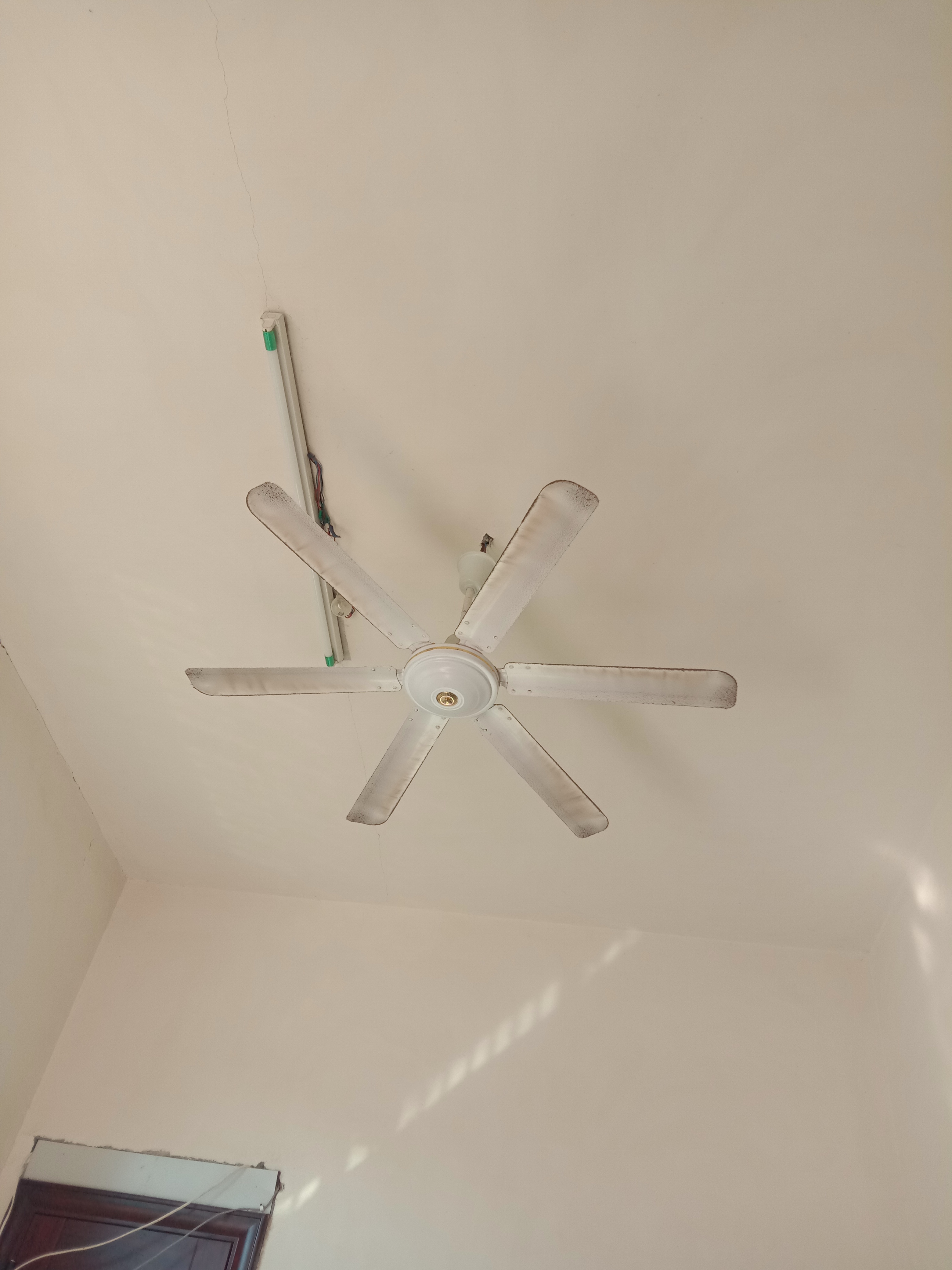 你们见过这样的风扇吗？