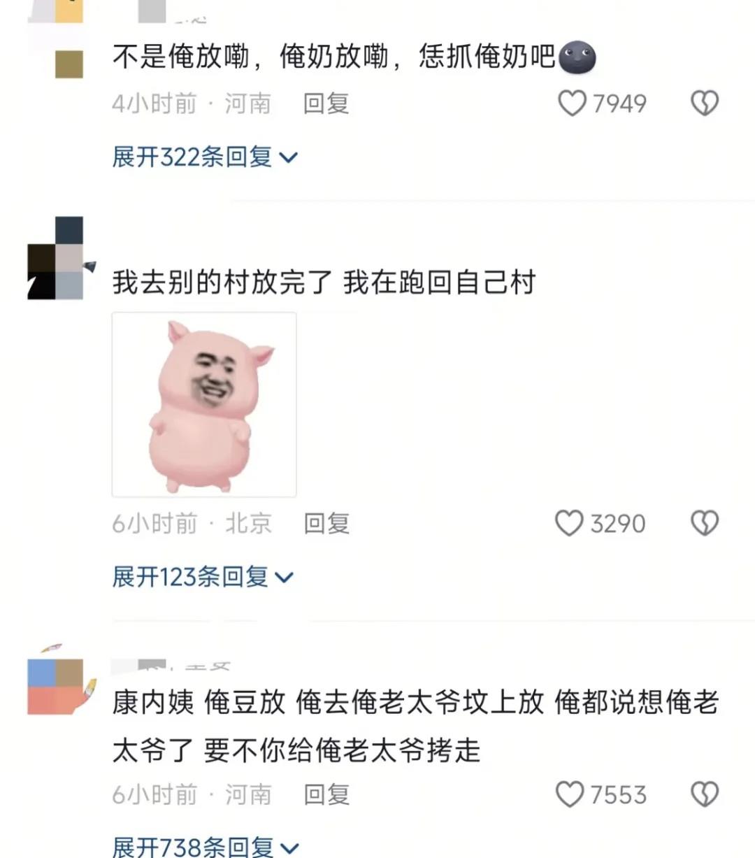 国家：禁止放烟花 乡：已读不回哈哈哈哈哈哈