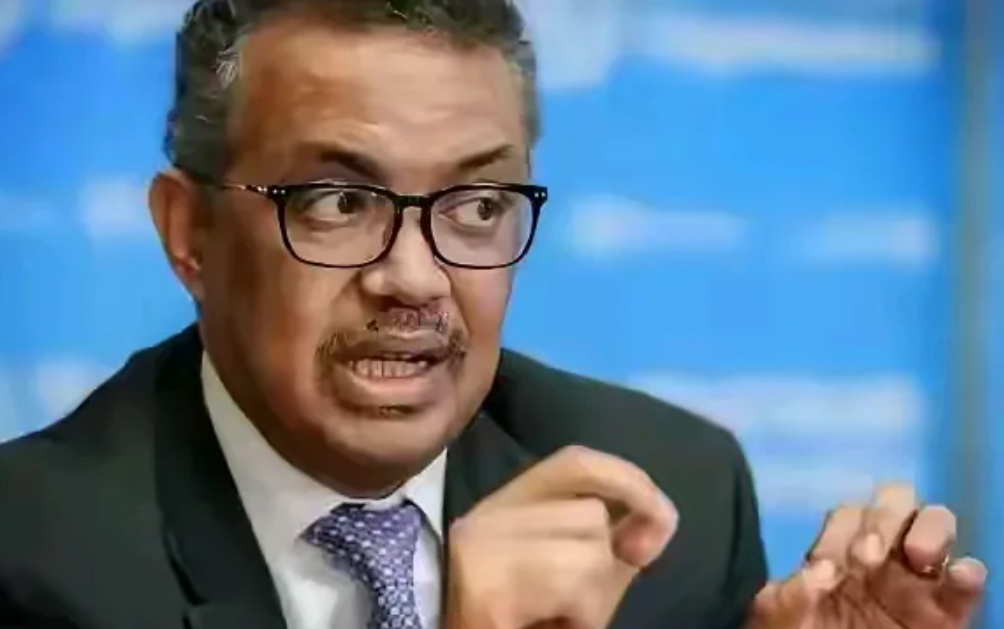 丑陋的谭德赛，人黑，心更黑！
世卫组织总干事谭德赛，因为收了美国的巨额贿赂，故而