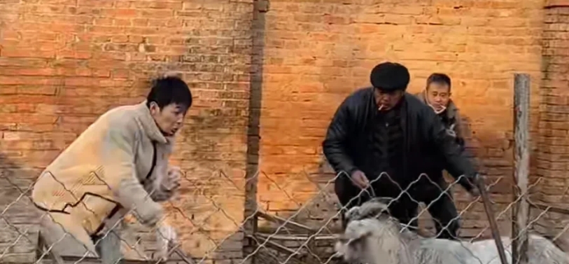张颖颖现在更新的速度很快啊
刚刚又发了暖心孩子帮姥姥洗脚的孝顺视频…
视频中张颖