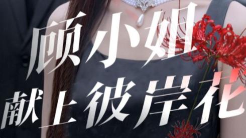 短剧在线观看完整版（69集）全集《顾小姐献上彼岸花》：彼岸花下的爱恨纠缠