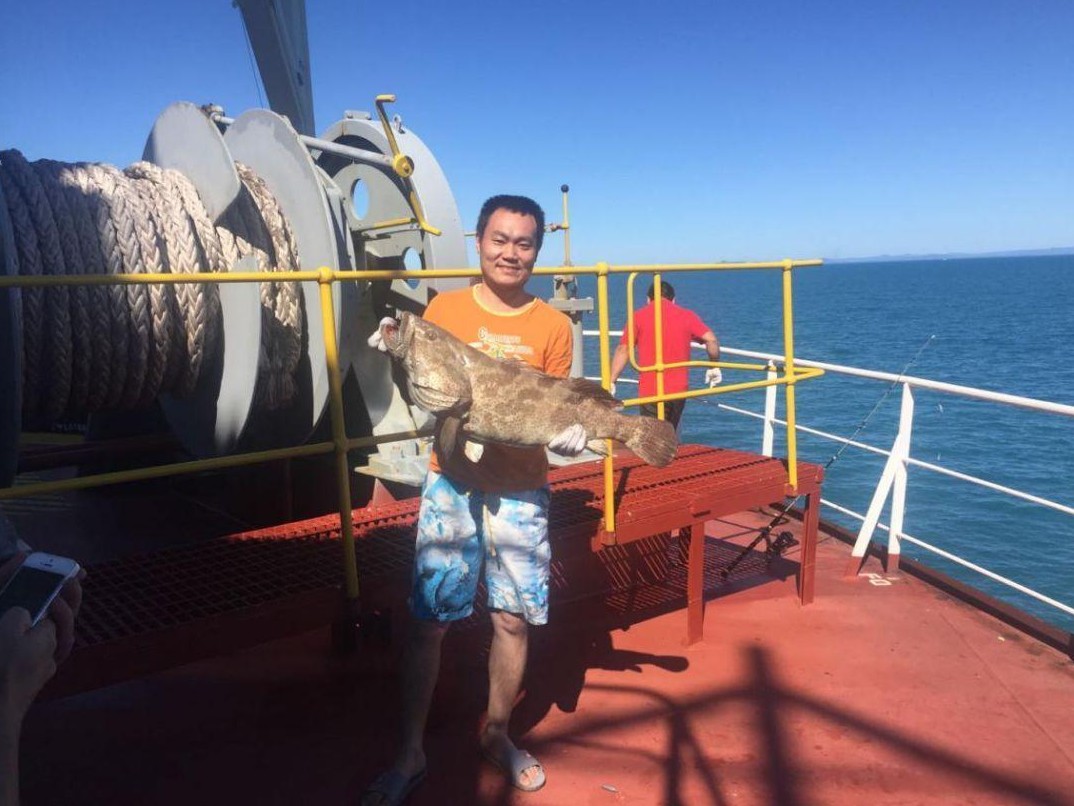 为何海员过海盗区不能配枪，那不就是让海盗直接抢吗？

对，就是让海盗直接抢，一个