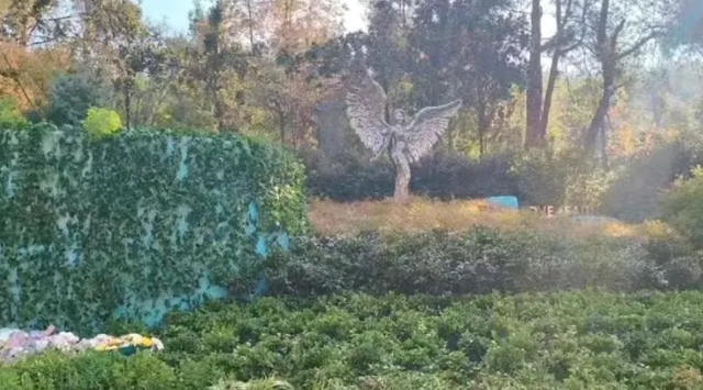 李玟墓地现状曝光，杂草丛生背后是管理的缺失还是另有原因？

歌手李玟去年7月在家