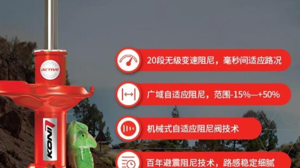 舒服好开，KONI变色龙，稳妥