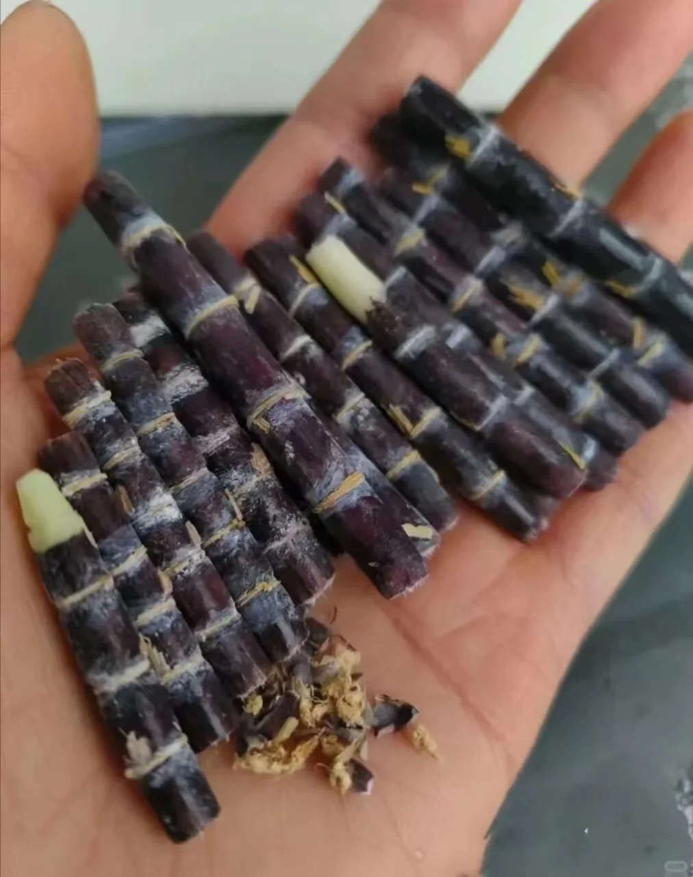 玄学：大人小孩咳嗽马上停！
接了真的不咳了！