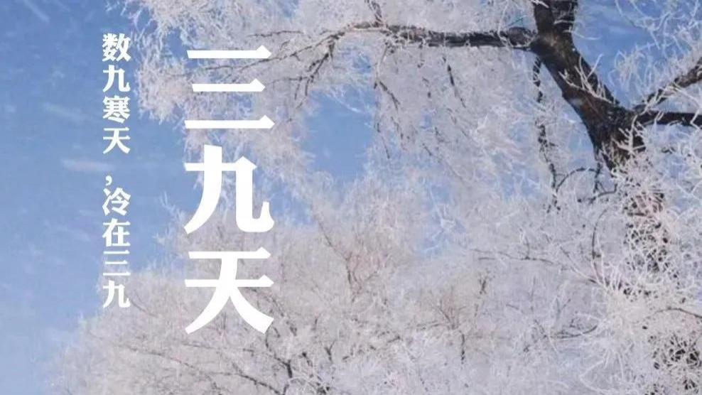 【健康科普】热在三伏，冷在三九。三九阴气盛，如何养精蓄锐过暖冬