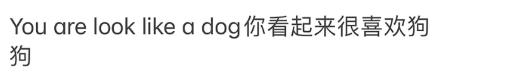 你看起来很喜欢狗狗

这句中文翻译成英语是什么呢？

我是这样翻译的：You a