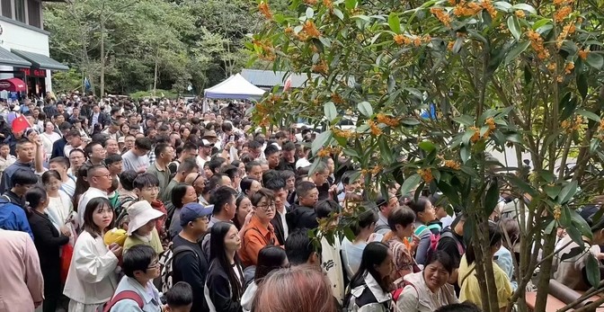 这十一假期去张家界旅游，简直是去看人头的节奏啊。本来想好好放松一下，结果一进景区