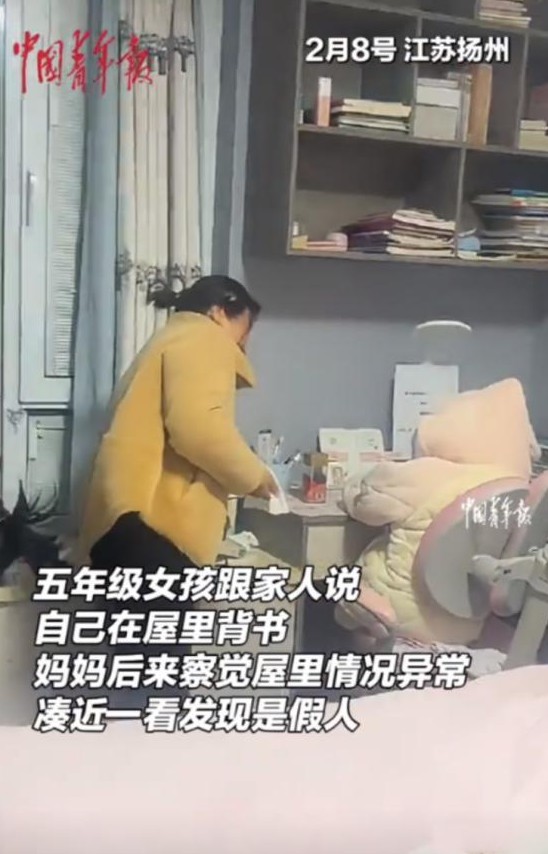 唐女士一家在江苏扬州过着平凡而温馨的生活，这个故事的主角是正在上五年级的小雨。小