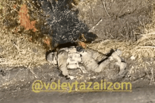 负伤昏死在路边的大鹅在被烈火烧烤下苏醒了过来，但是由于伤势过重难以移动身体，大鹅