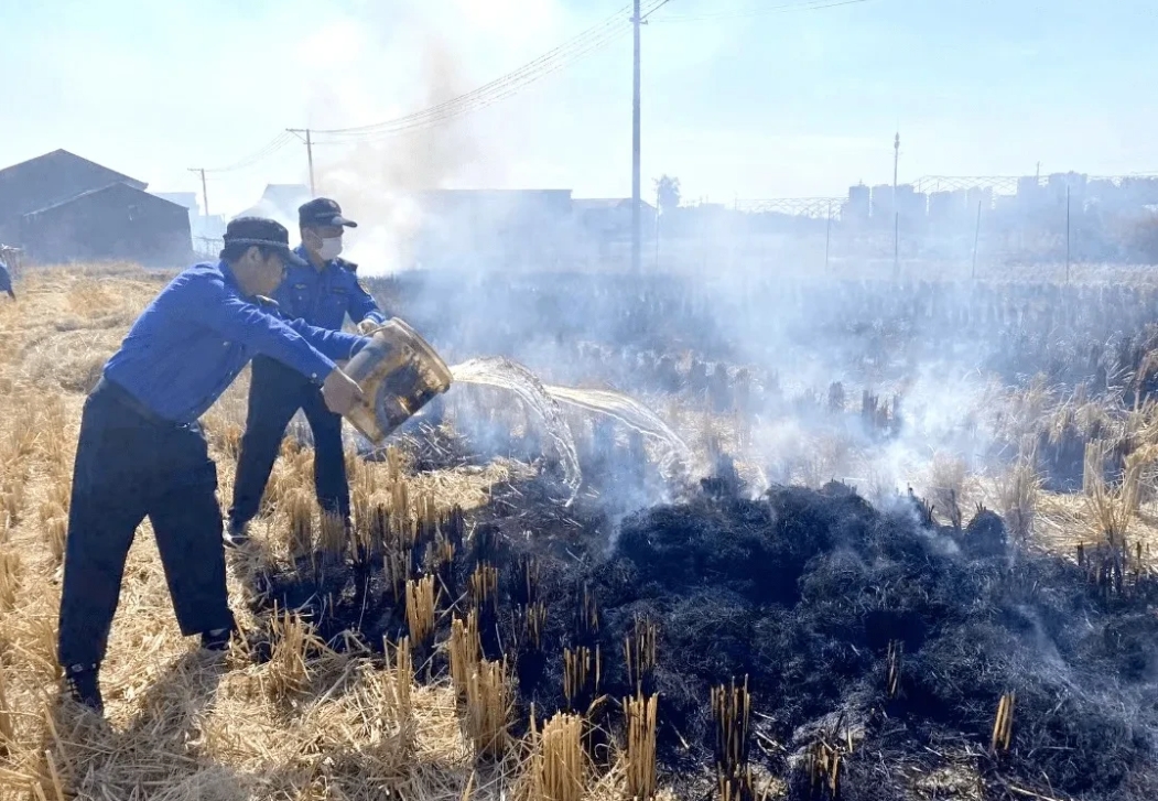浙江，一70岁残疾老农，因无力清理田间稻草，便一把火将其焚烧，不料却被城管发现，