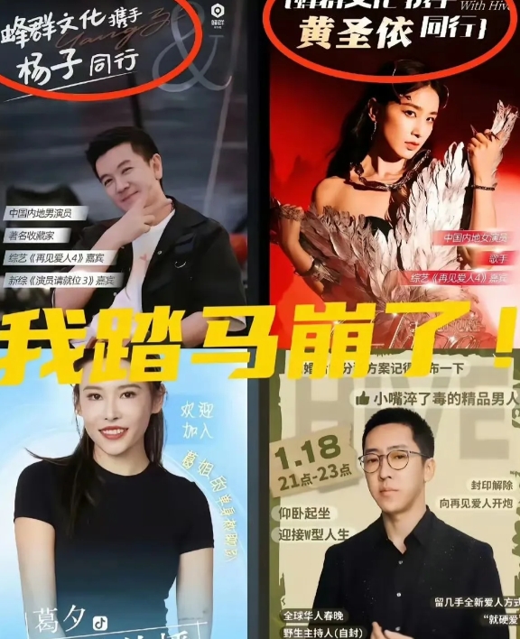 黄圣依、杨子还有葛夕居然都签约蜂群文化，这也是留几手持股的公司！
闹了半天再见爱