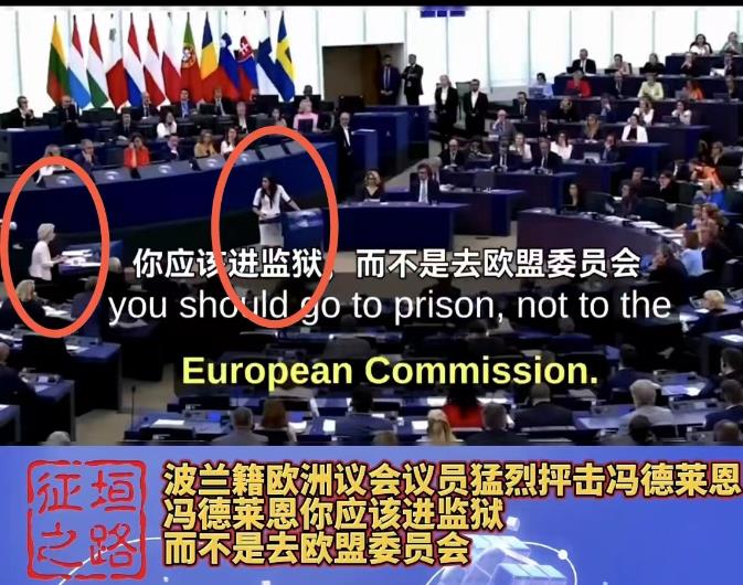 “冯德莱恩，你应该被送进监狱！”

如果用“死皮赖脸”、“死不改悔”、“死猪不怕