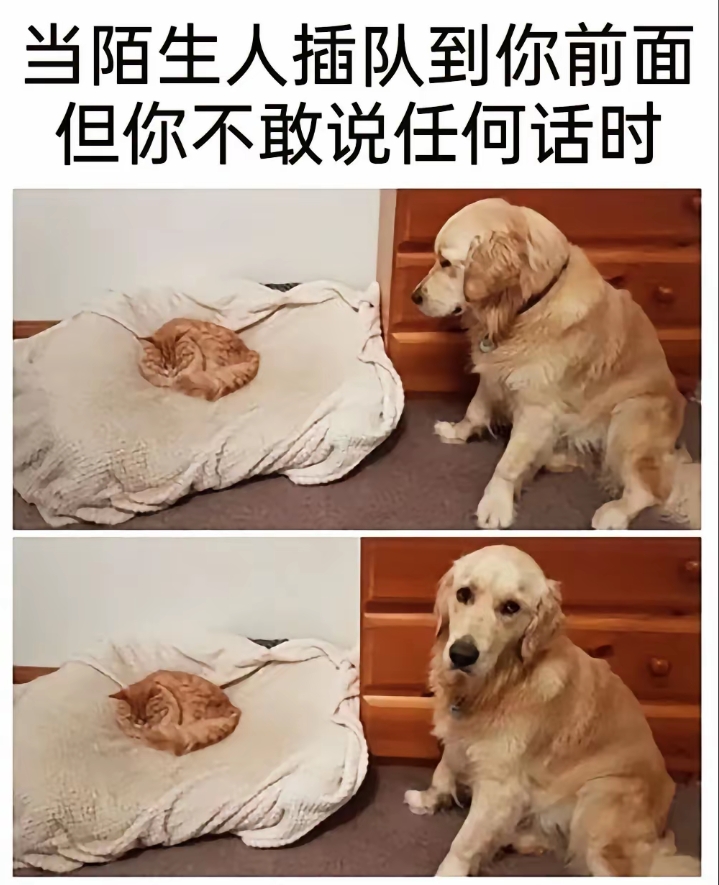 这就是当时的你吧