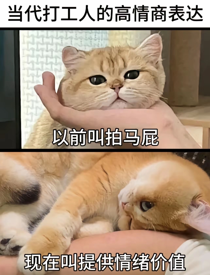 当代打工人的高情商表达
