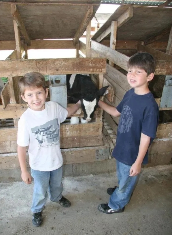 美国人对待拐卖孩童的处罚
美国对待拐卖儿童的处罚非常严格。
根据美国刑法，拐卖妇