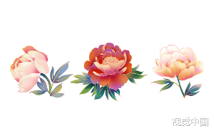 先婚后爱，男主自小就喜欢女主