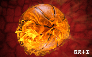 我被网红绿了，被队友陷害，捏着手里刚签的NBA合同，我不知道该怎么来回报他们！