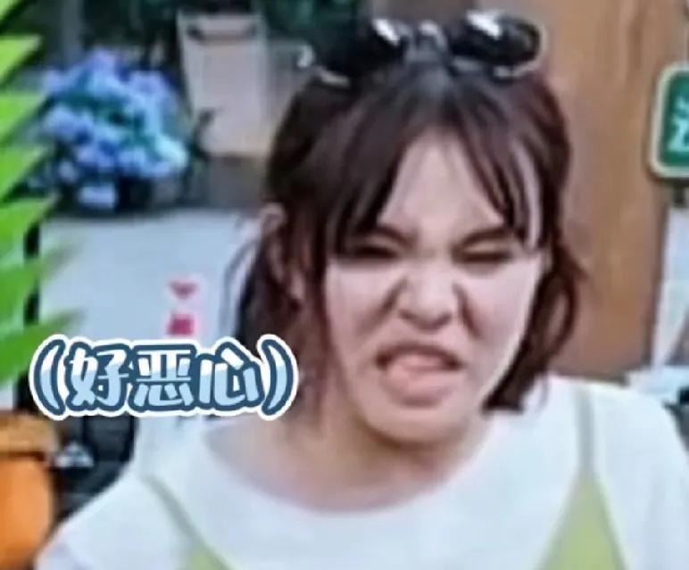 谢依霖参加向往的生活时亲眼目睹了黄磊用手尝饭菜的咸淡味道，那嫌弃的表情不言而喻，