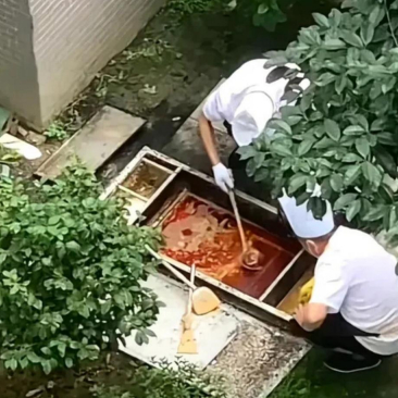    清晨推开窗户的那一刻，我便暗下决心，日后还是自己下厨做饭为好，尽量不再去外